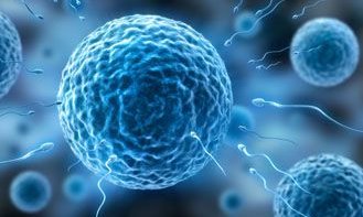 2026年厦门试管婴儿医院推荐及费用详解