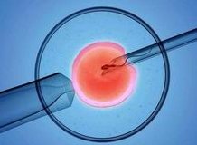 自贡做试管婴儿哪个医院成功率排名较高？