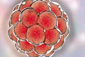 2026年湖南正规特殊试管医院名单汇总