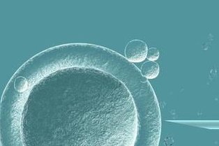 子宫纵隔生育困难可以在潜山市做三代试管吗？子宫有问题做试管的成功率高吗？